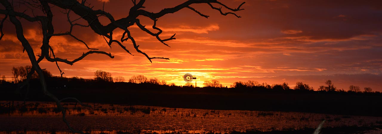 Sonnenuntergang über der Landschaft auf Mönchgut